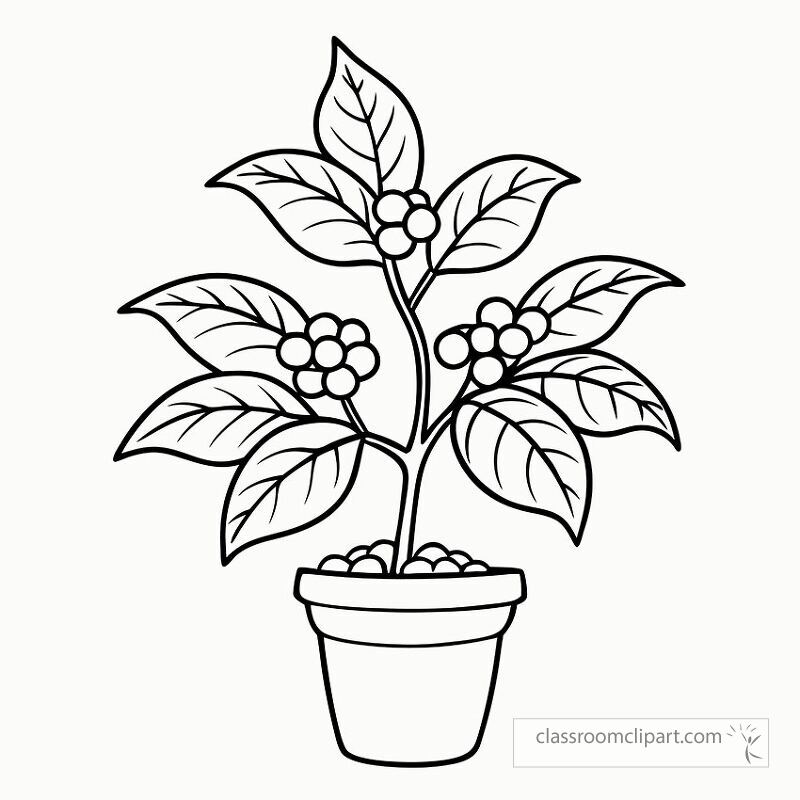 This printable design features a black outline of a coffee plant with detailed leaves and berries perfect for coloring at home or in creative workshops.