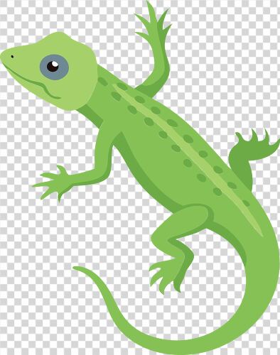 Cute and simple green lizard graphic for educational use