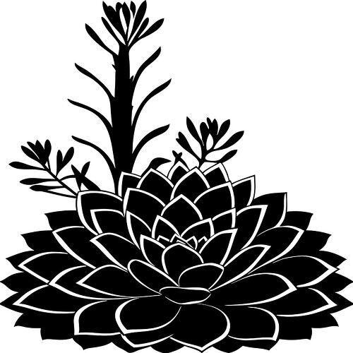 Detailed silhouette of echeveria surrounded by greenery