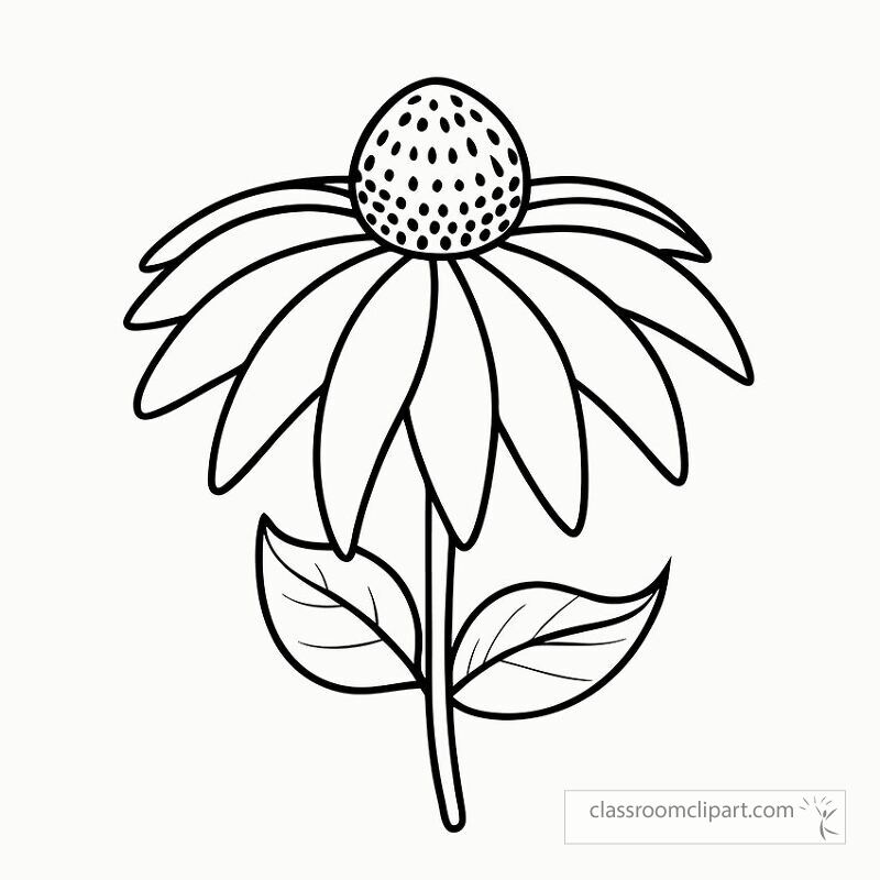 This black outline printable features an echinacea flower with distinct petals and a textured center. Perfect for coloring activities it offers a creative outlet for all ages.