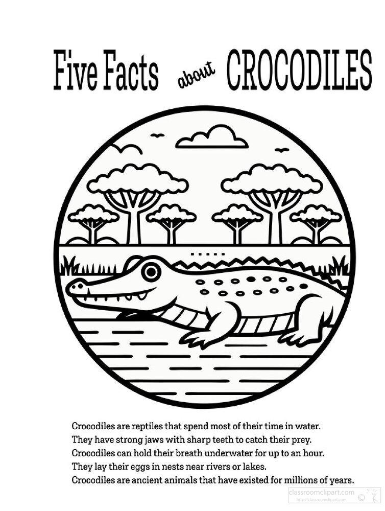 Five Facts About Crocodiles Illustration Printable