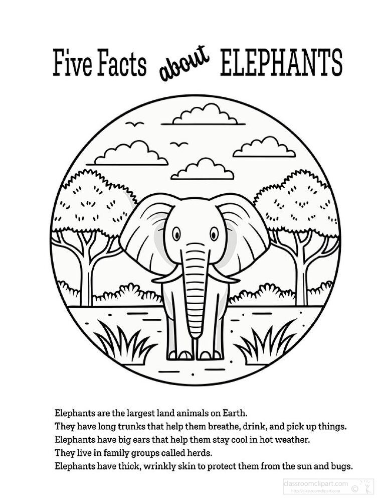 Five Facts About Elephants Coloring  Printable