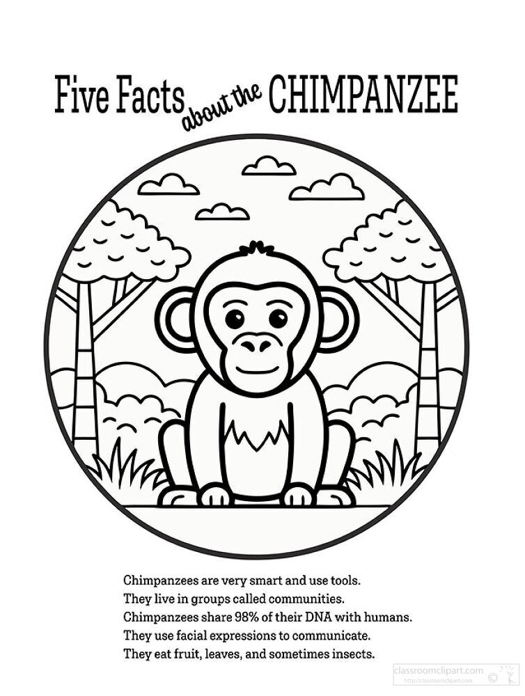 Five Facts About the Chimpanzee Coloring  Printable