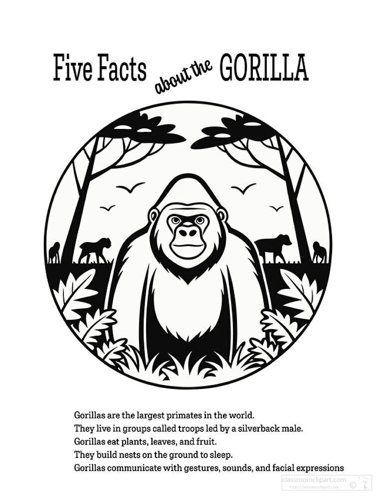 Five Facts About the Gorilla Printable