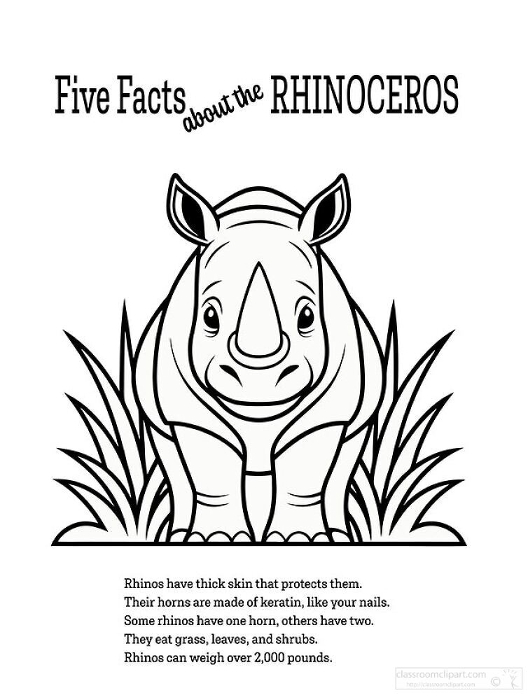 Five Facts About the Rhinoceros Coloring  Printable