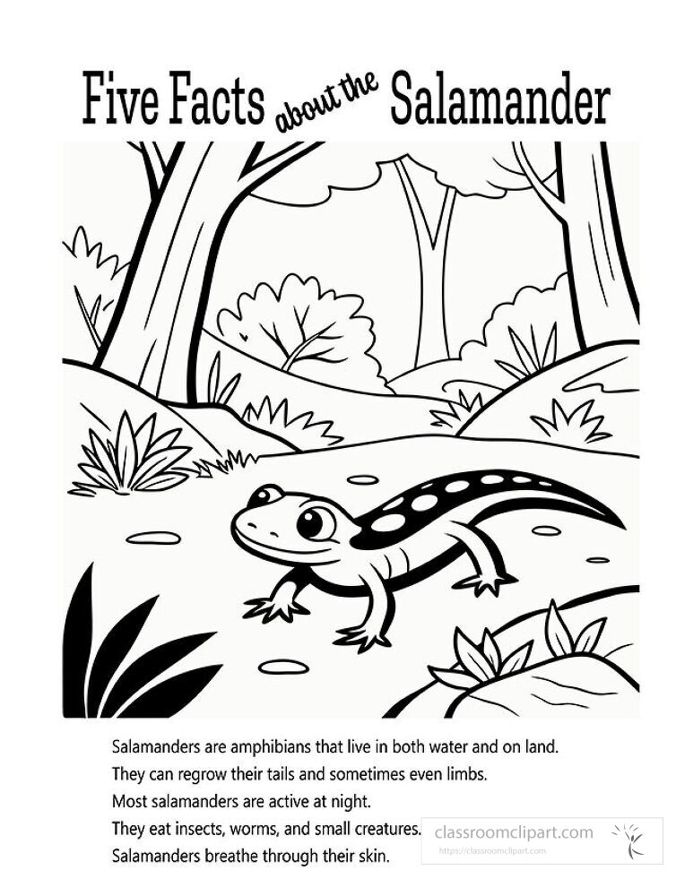 Kids can enjoy coloring this fun printable featuring a salamander in its natural habitat Five interesting facts are included to enhance learning during the activity