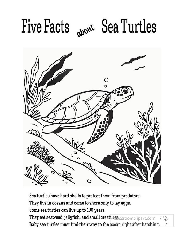 Enjoy a creative coloring activity that shares engaging facts about sea turtles This printable activity highlights their habitat diet and life cycle in an entertaining way