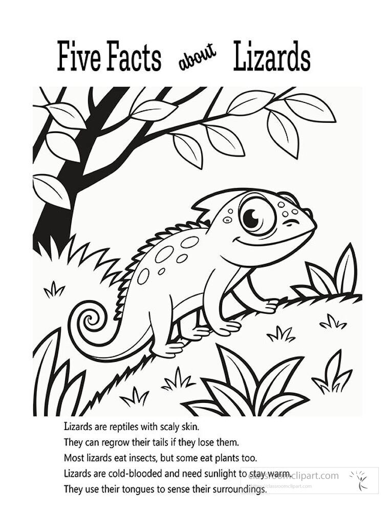 This engaging printable features fun facts about lizards designed for kids to color It showcases a lizard in a natural setting perfect for learning and creativity