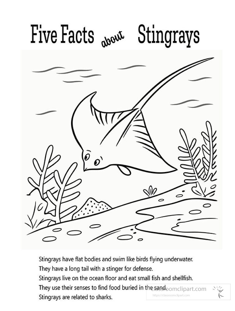 Enjoy a printable coloring activity that features interesting facts about stingrays Kids can learn while expressing their creativity with engaging designs of these unique creatures