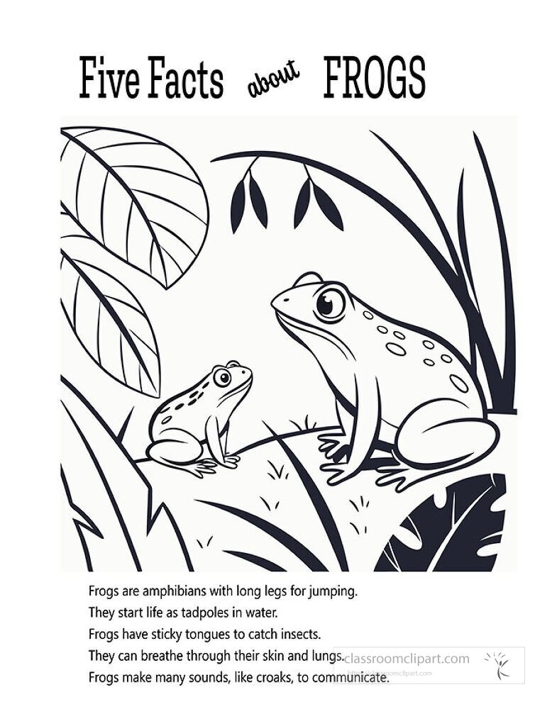 Discover fun facts about frogs while coloring Learn how these amphibians start life as tadpoles catch insects and use their skin to breathe in this engaging printable activity