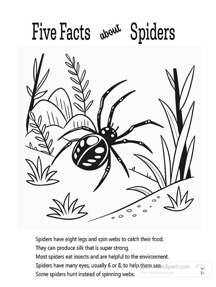 Kids can learn five interesting facts about spiders while having fun coloring This printable activity promotes creativity and education about these fascinating creatures