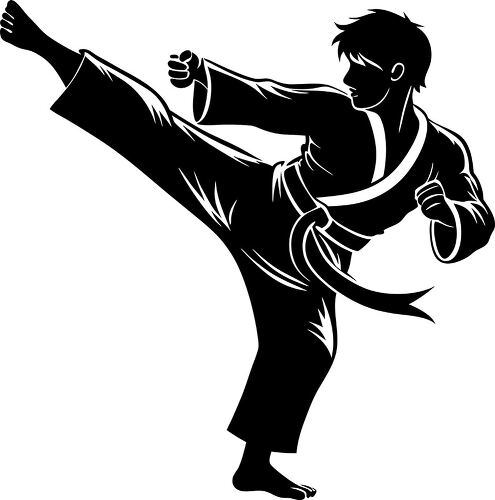 Silhouette of a martial artist performing a high kick