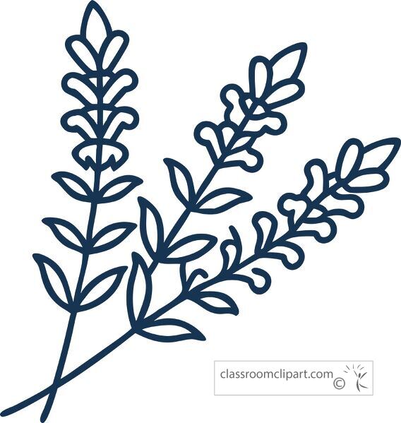 ine icon of a lavender sprig