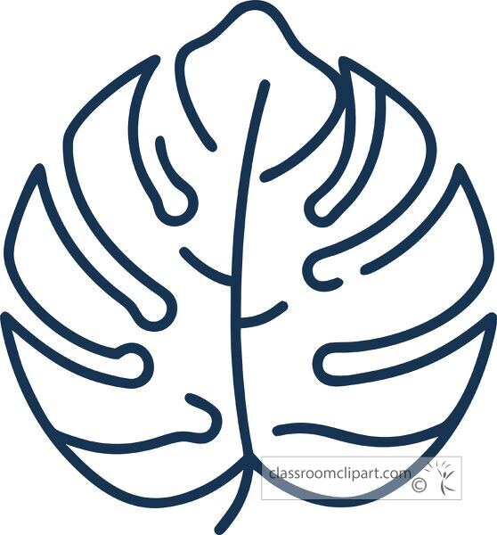 line drawing depicting a monstera leaf