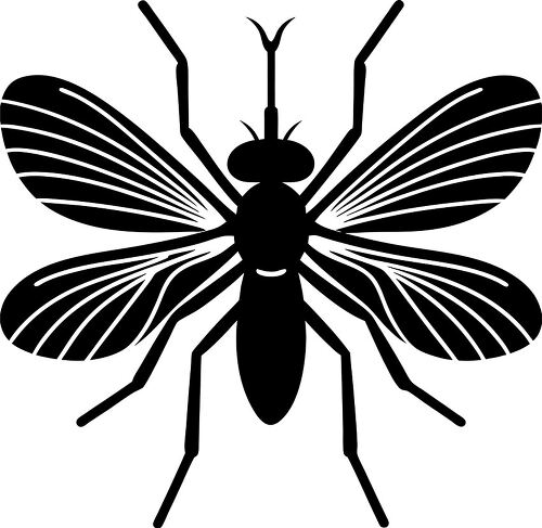 Silhouette of a mosquito highlighting its wing structure