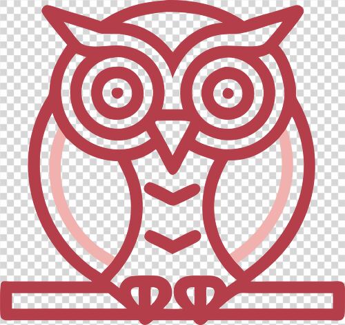 Cute cartoon owl perched on a branch in minimal style