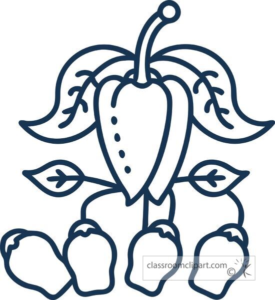 Illustration of a pepper plant icon