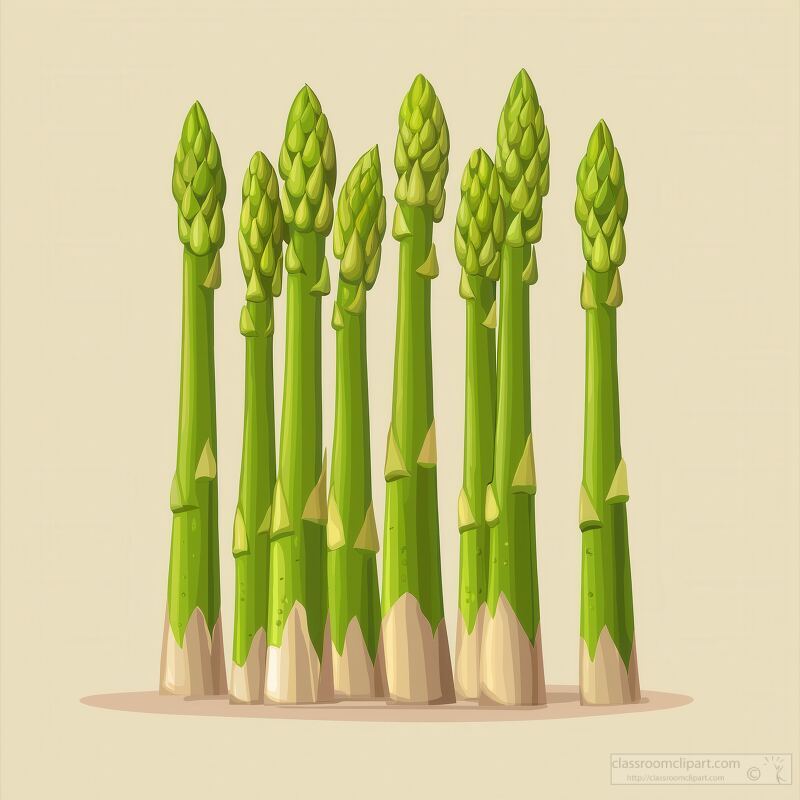 Group of asparagus spears arranged vertically showcasing their vibrant green color and smooth texture. The design highlights simplicity and freshness perfect for food related themes.