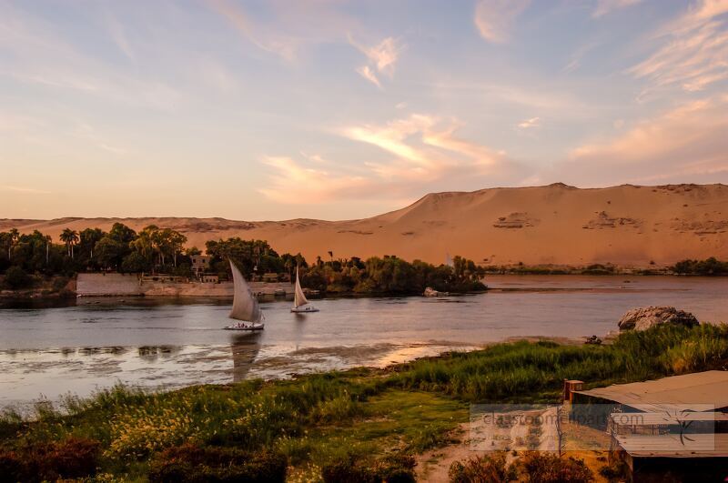 Two traditional sailboats navigate the calm waters of the Nile River at sunset surrounded by lush greenery and sandy dunes near Aswan Egypt