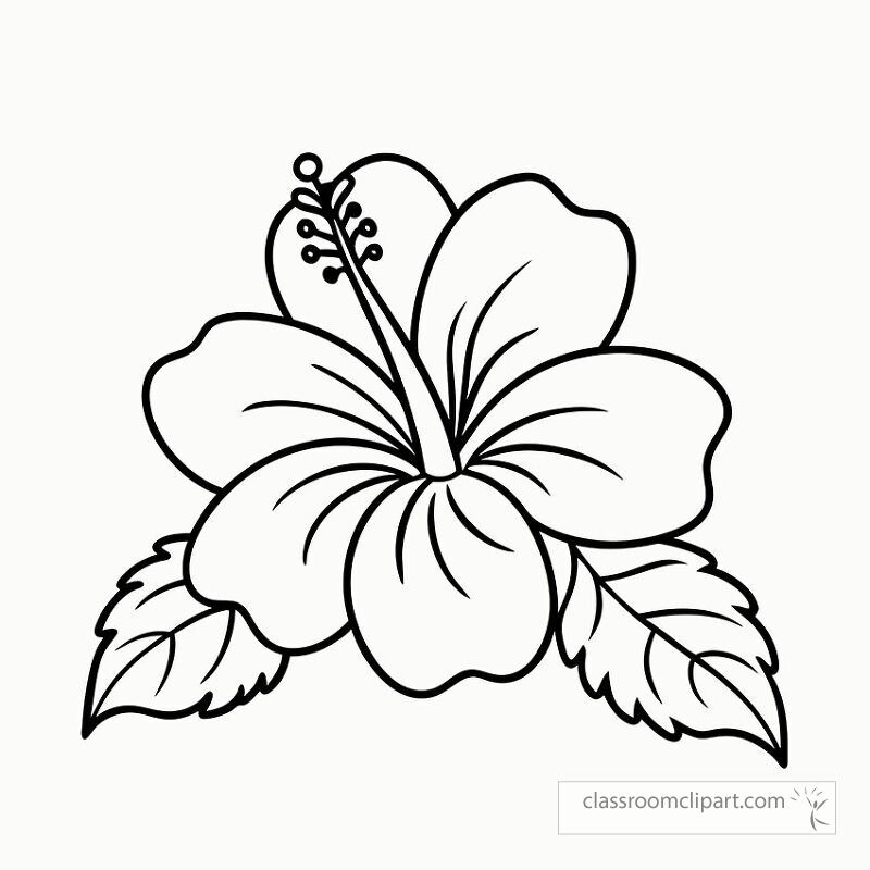 This black outline illustration features a hibiscus flower with detailed petals and leaves perfect for coloring or craft projects. Ideal for art lovers and creative activities.