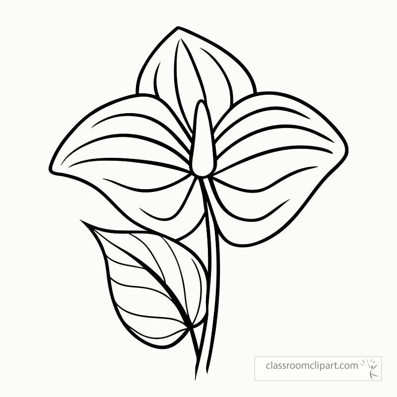 This printable black outline features a detailed anthurium flower with elegant leaves perfect for coloring or artistic projects. Ideal for all ages and skill levels.