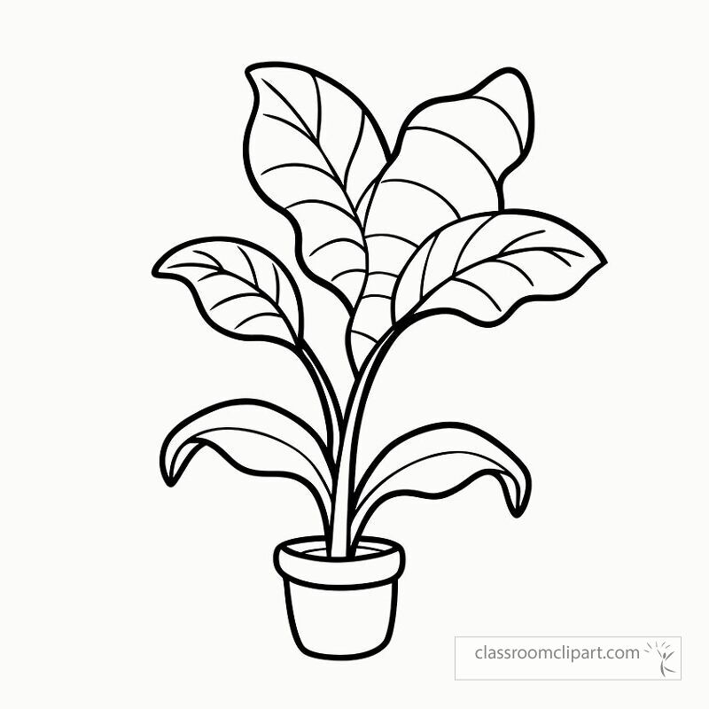 This black outline features a ginger plant with broad leaves arranged elegantly in a pot. Perfect for coloring activities or botanical studies at any time of the year.