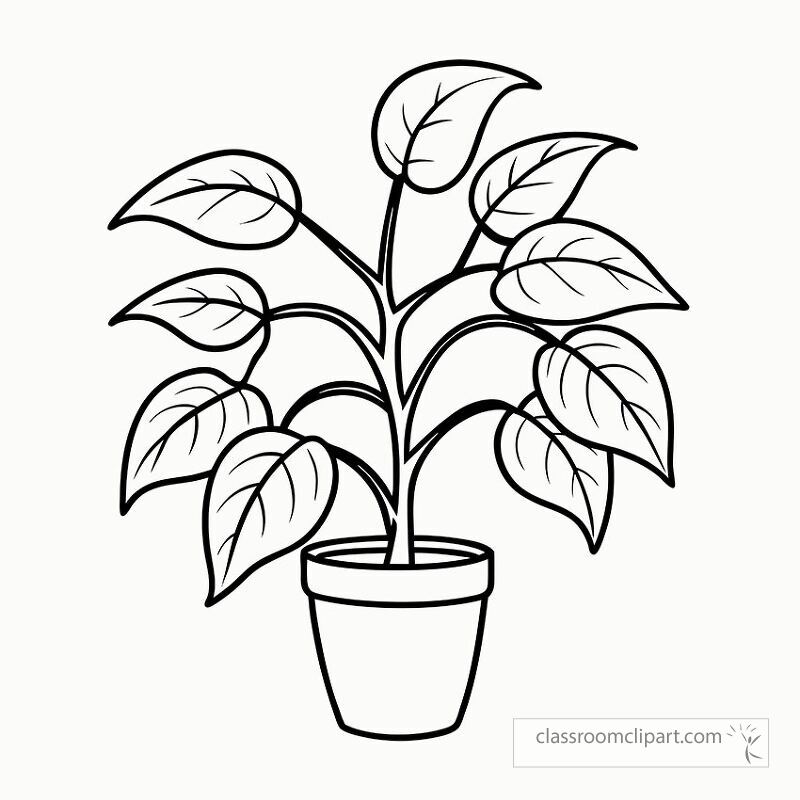 Black outline drawing of a pepper plant in a pot featuring detailed leaves perfect for coloring or as a fun printable activity for plant lovers and kids at home.