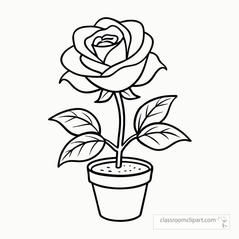 This illustration features a detailed black outline of a rose plant in a pot perfect for coloring activities. It showcases a single rose with leaves in a simple yet elegant design.