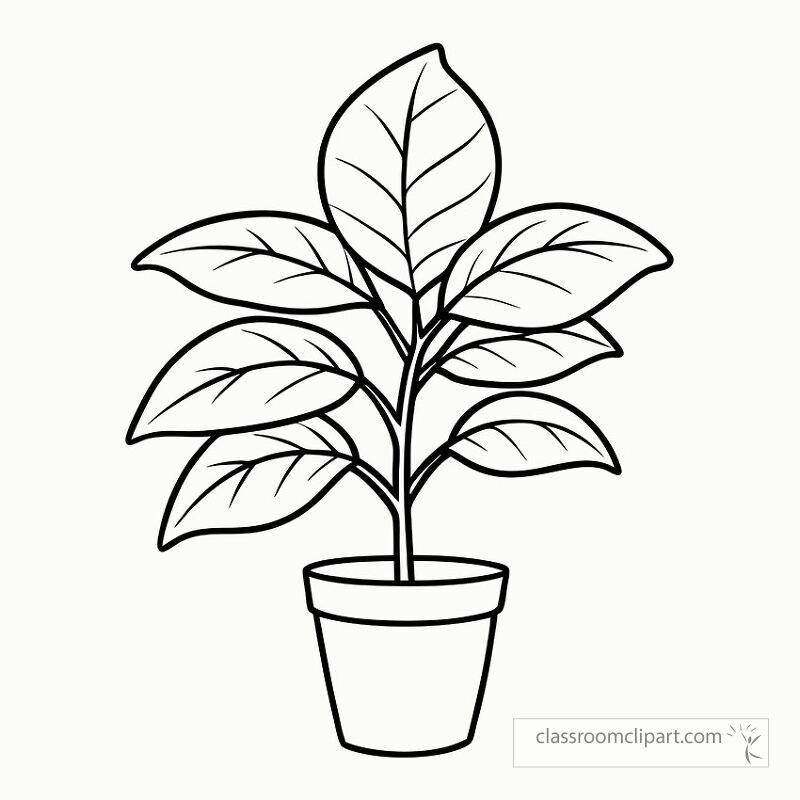 This black outline illustration features a rubber plant in a simple pot. Ideal for coloring activities it showcases broad leaves and a sturdy stem perfect for creative expression.