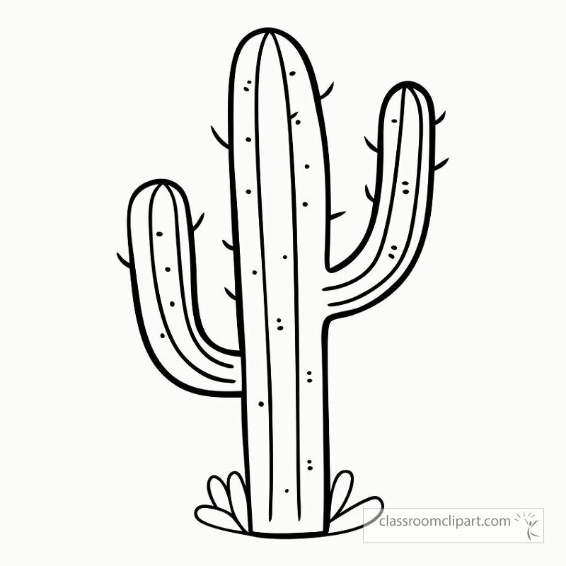 black outline of a saguaro cactus. Perfect for coloring activities or art projects it showcases the tall distinctive shape of the cactus