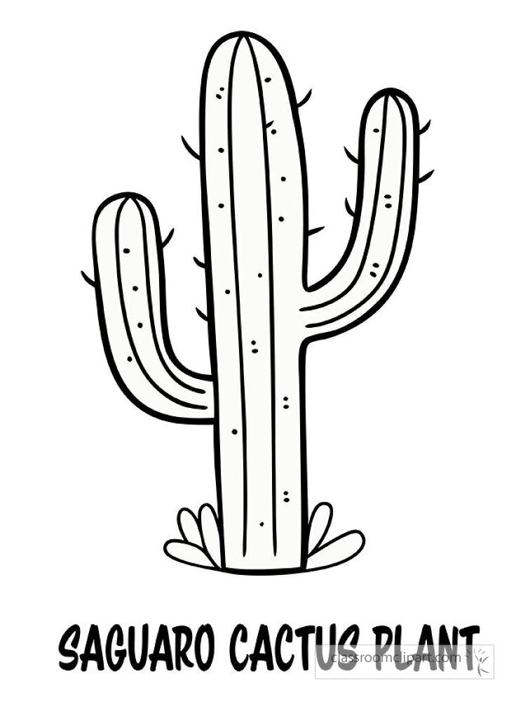 Black outline of a saguaro cactus. Perfect for coloring activities or art projects it showcases the tall distinctive shape of the cactus with text