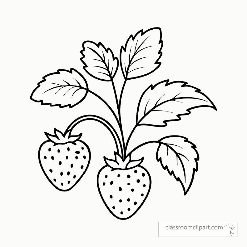 This black outline illustration features a strawberry plant with two ripe strawberries and detailed leaves. Perfect for coloring or crafting activities aimed at all ages.