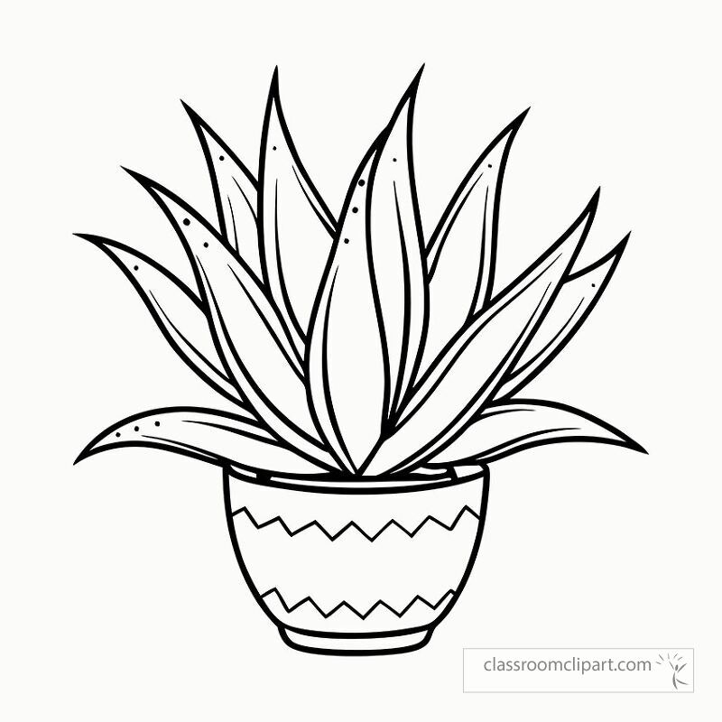 This black outline features the aloe vera plant in a decorative pot ready for creative coloring activities. Ideal for art projects or relaxation exercises.