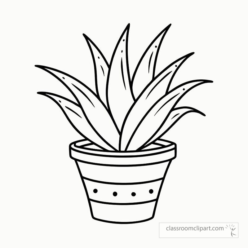 This black outline features a detailed aloe vera plant in a simple pot perfect for coloring activities or crafts. Use it for relaxation or creative projects at home or school.