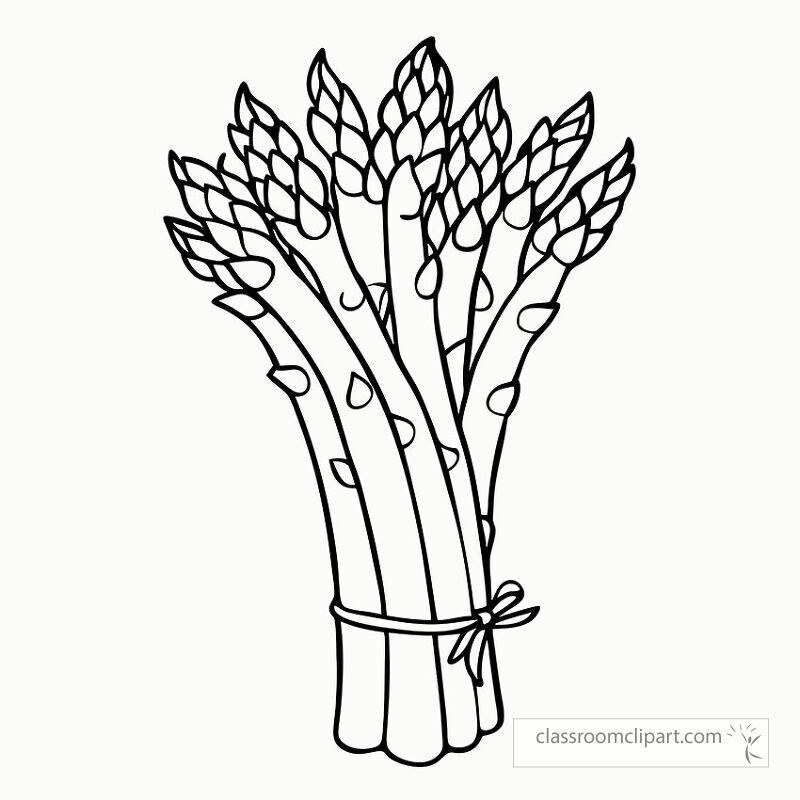 This black outline showcases a bunch of asparagus tied with twine perfect for coloring activities. Ideal for art projects or educational purposes for all ages.