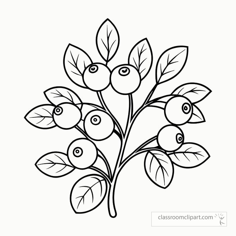 This black outline features a detailed blueberry bush with ripe berries and leaves perfect for educational activities or creative coloring fun for all ages. Enjoy a relaxing time coloring nature.