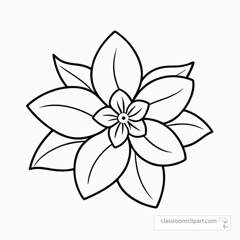 Jasmine flower design features a detailed black outline perfect for coloring. This printable illustration captures the elegance of jasmine petals and blossoms for artistic projects.