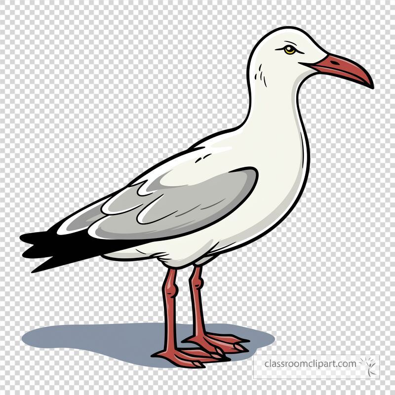 A detailed illustration of a seagull with a white body grey wings a red beak and long legs The bird stands on the ground showcasing its striking features and posture