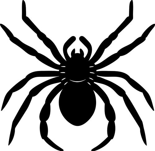 A bold spider silhouette perfect for various artistic uses