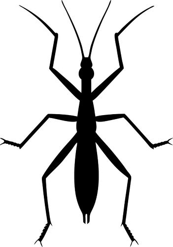 Detailed stick insect silhouette suitable for various artistic uses