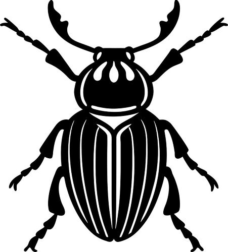 Bold weevil silhouette ideal for design projects and crafts