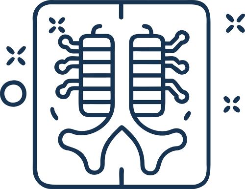 Icon shows an X ray of lung structure emphasizing health assessment and diagnostics.